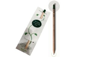 ΜΟΛΥΒΙ SPROUT ΟΙΚΟΛΟΓΙΚΟ ΜΕ ΣΠΟΡΟΥΣ